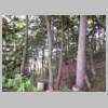 DSCN9368.JPG