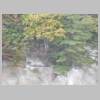 DSCN9372.JPG