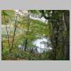 DSCN9377.JPG