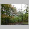 DSCN9378.JPG