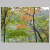 DSCN9382.JPG
