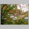 DSCN9383.JPG