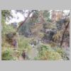DSCN9859.JPG