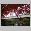 DSCN9861.JPG