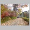 DSCN9864.JPG