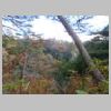 DSCN9877.JPG