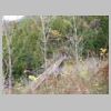 DSCN9941.JPG