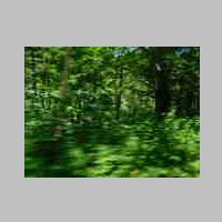 DSCN0938.JPG