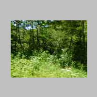 DSCN0939.JPG