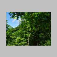 DSCN0941.JPG