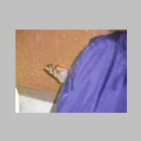 DSCN0999.JPG
