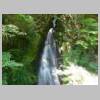 DSCN0480.JPG