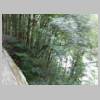 DSCN0507.JPG