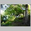 DSCN9591.JPG
