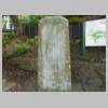 DSCN9595.JPG
